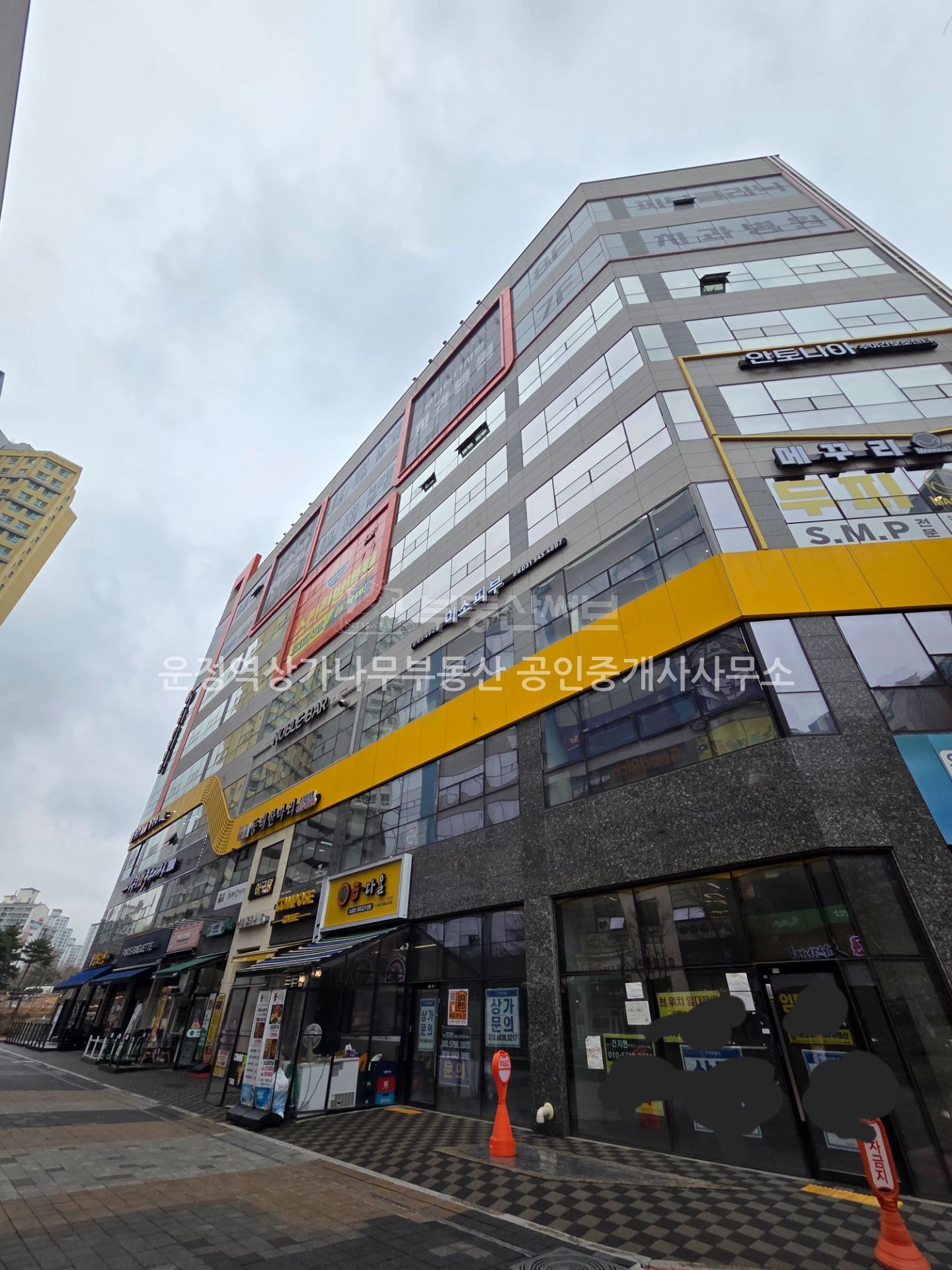 월드타워15차 사진