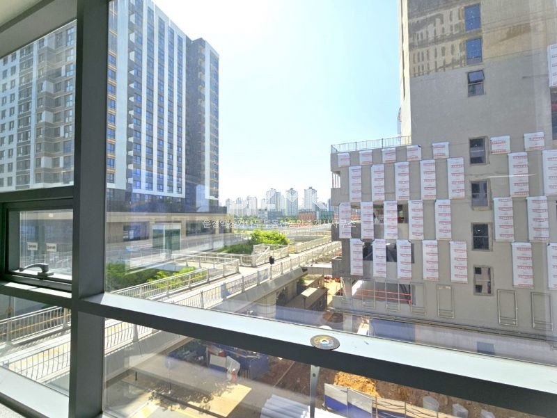 월드로데오 사진