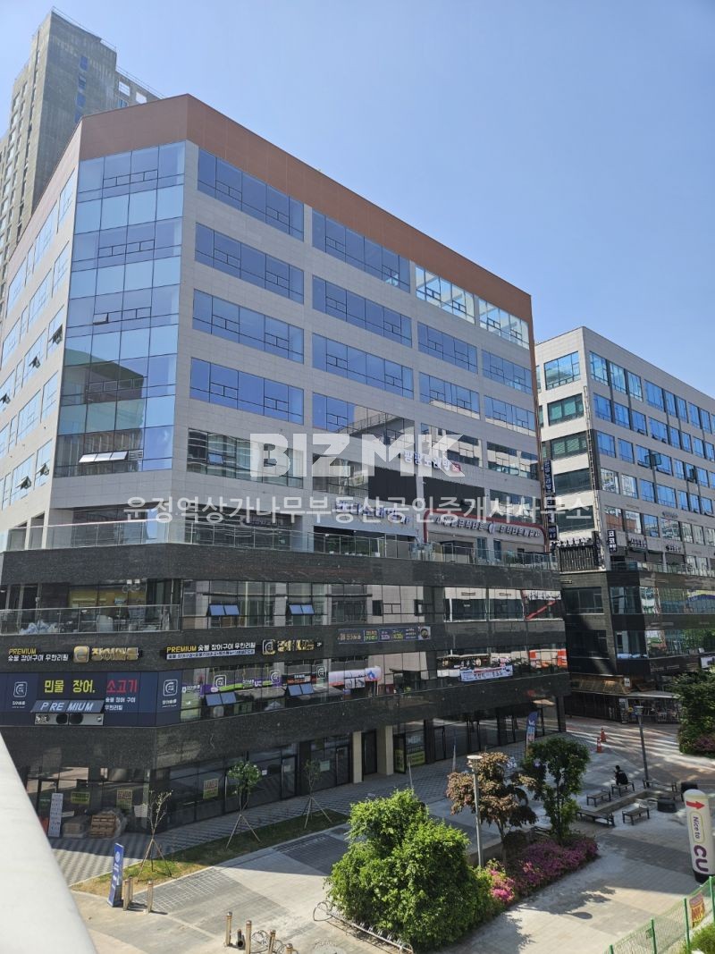 월드로데오 사진