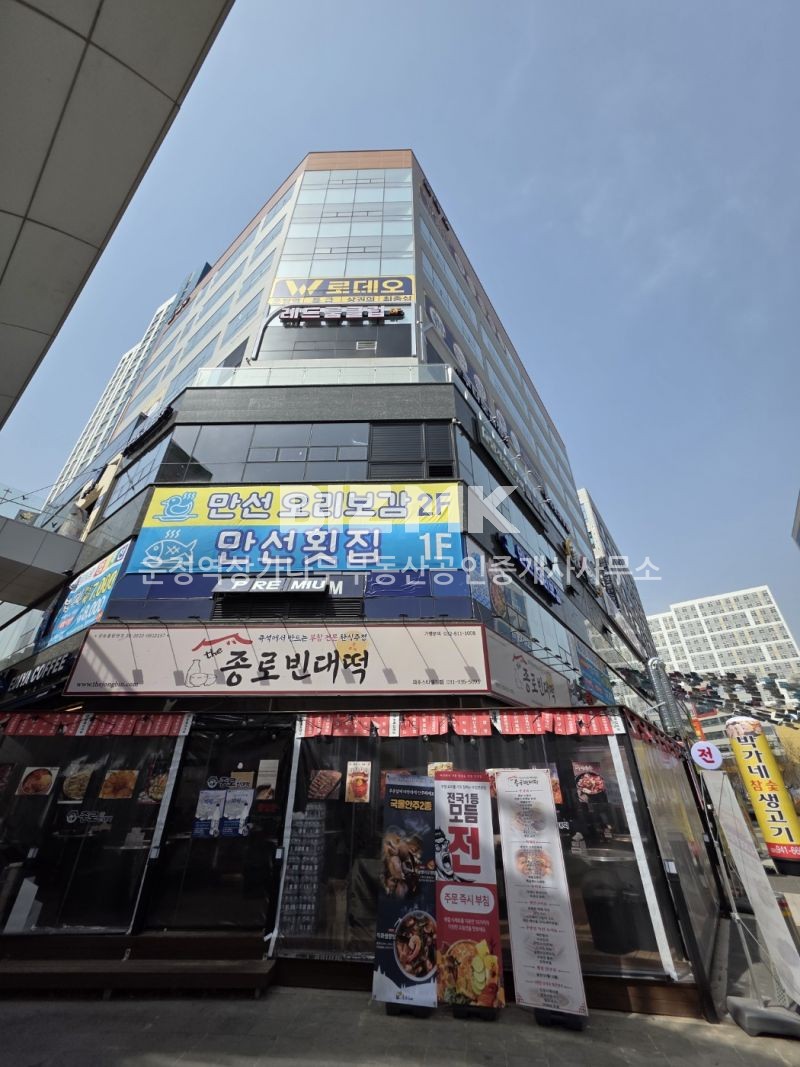 월드로데오 사진