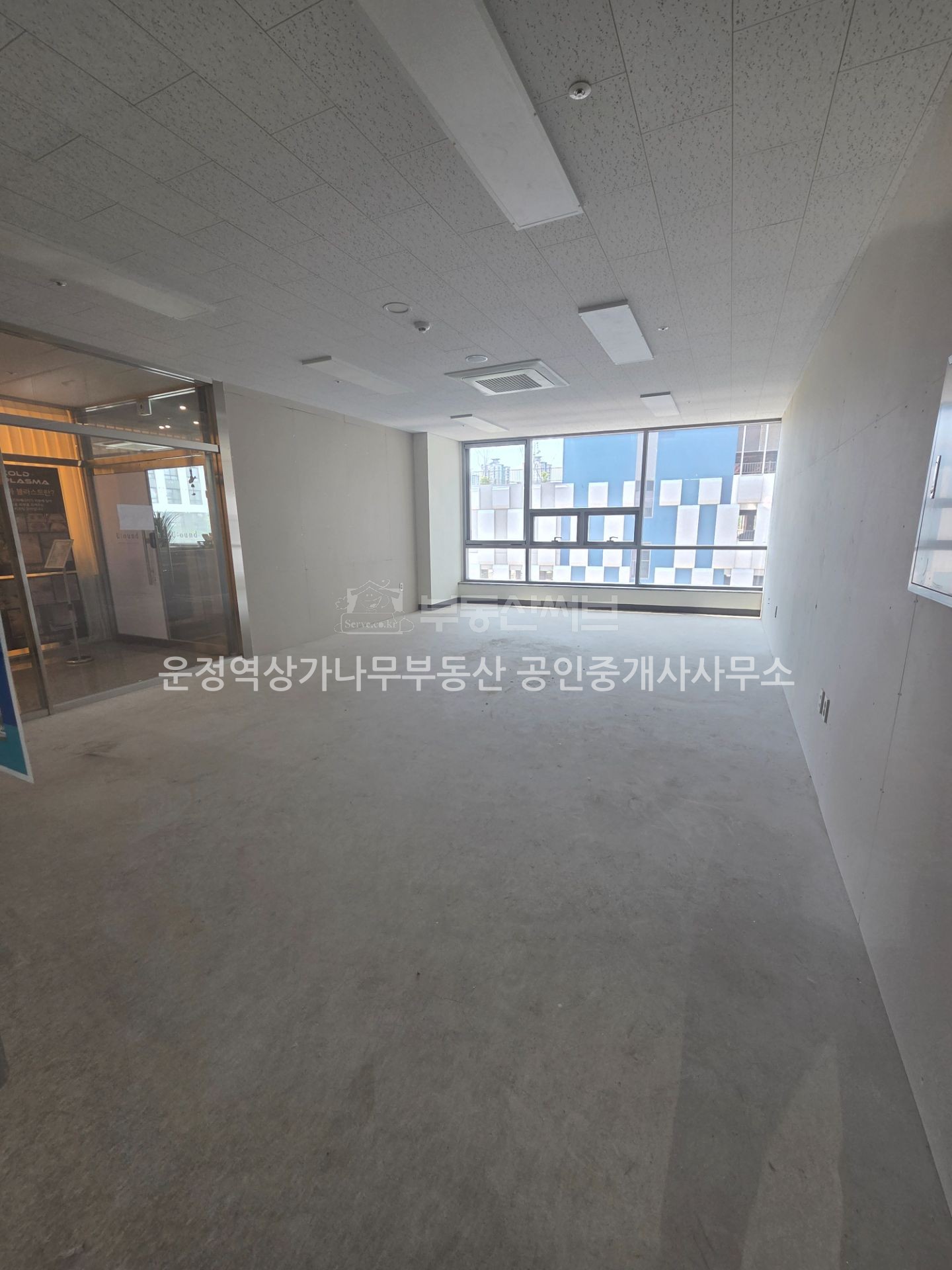 월드로데오 사진